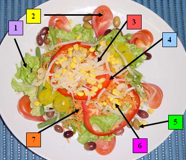 84insalataes.jpg